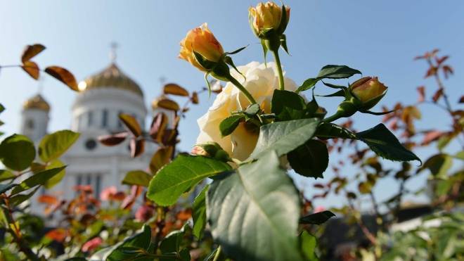 В РПЦ отреагировали на опрос ВЦИОМ о богослужении на современном русском языке