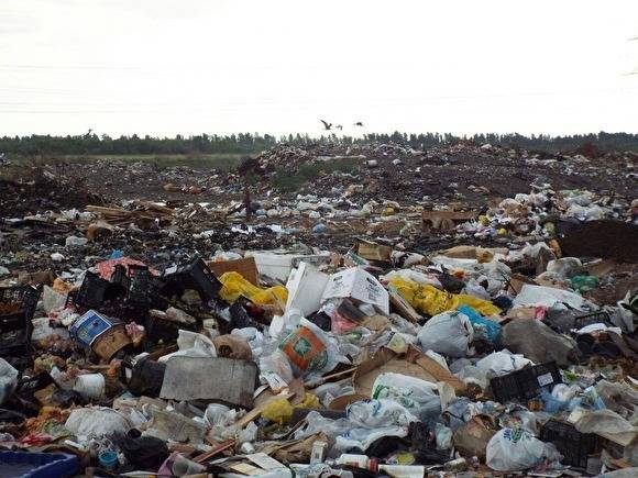Жители Тагила заявили о референдуме против строительства мусорного полигона