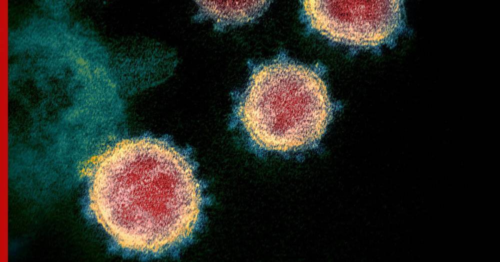 Ученые опредилили самую опасную стадию коронавируса