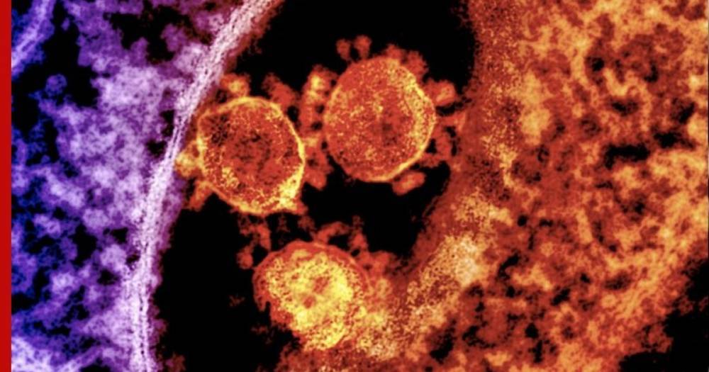 Ученые назвали скорость мутации коронавируса