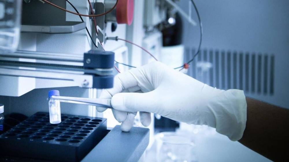Лаборатории в Новосибирской области приступают к тестированию на коронавирус