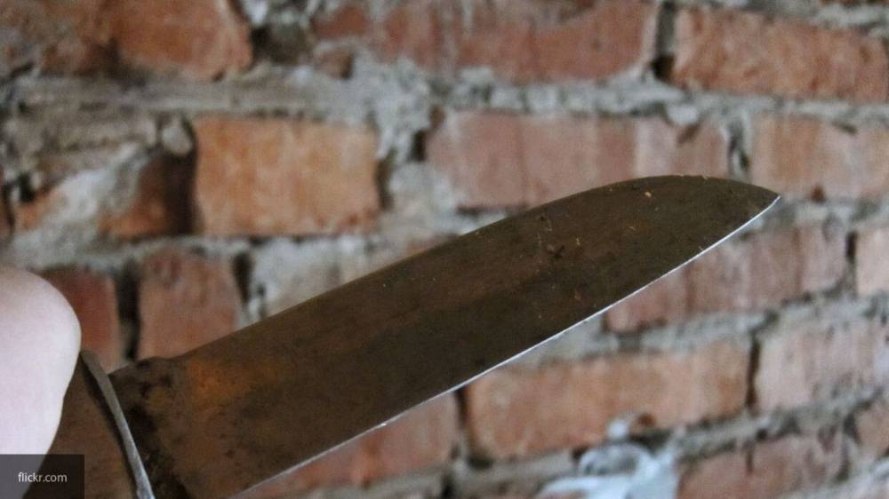 Коротков напал с ножом на петербуржца у метро "Приморская"