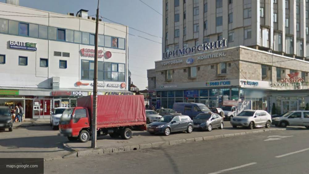 Коротков нанес ножевое ранение незнакомцу у станции метро "Приморская" в Петербурге