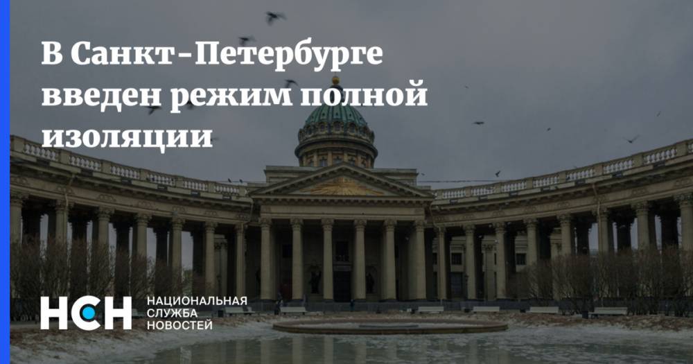 В Санкт-Петербурге введен режим полной изоляции