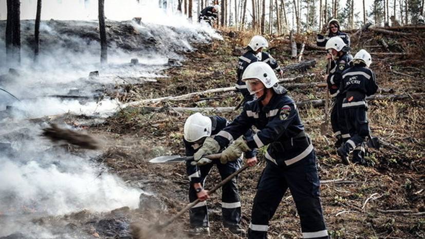 В Воронежской области введут противопожарный режим с 1 апреля