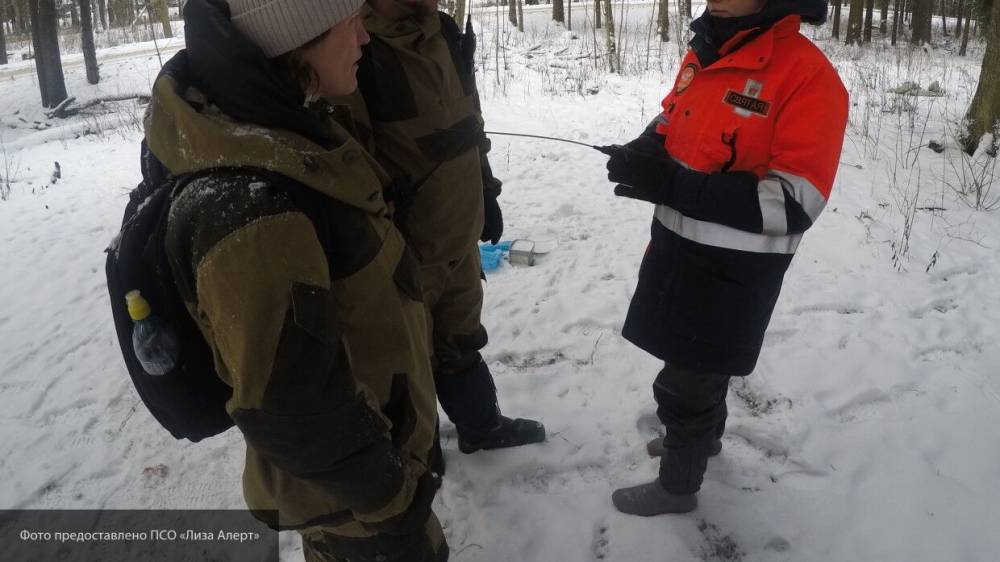 Пропавший петербургский студент медицинского вуза был найден волонтерами на болоте