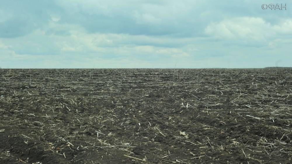 Украина под давлением МВФ разрешила продажу сельхозземель