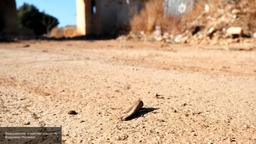 Перенджиев указал на опасность действий террористов ПНС Ливии для мирного населения