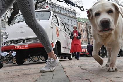 В Москве начали сдавать питомцев в аренду для прогулок во время карантина