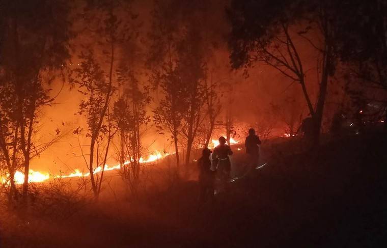 Почти 20 пожарных погибли при тушении лесных пожаров в Китае