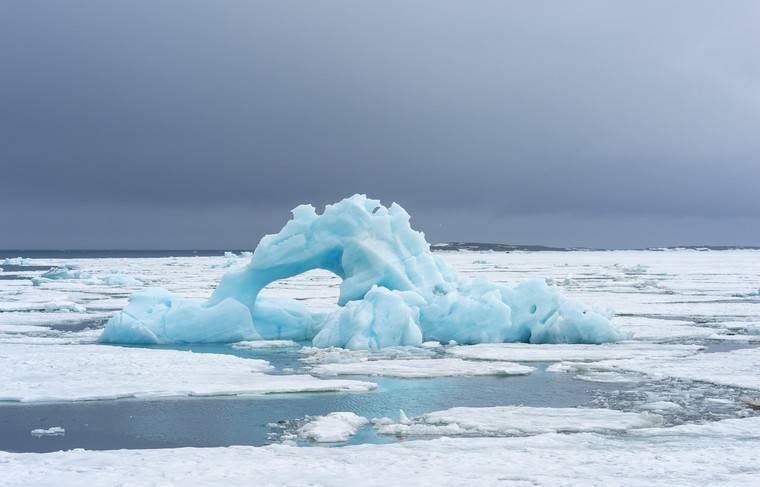Озоновая дыра рекордных размеров появилась над Арктикой - news.ru - Антарктида