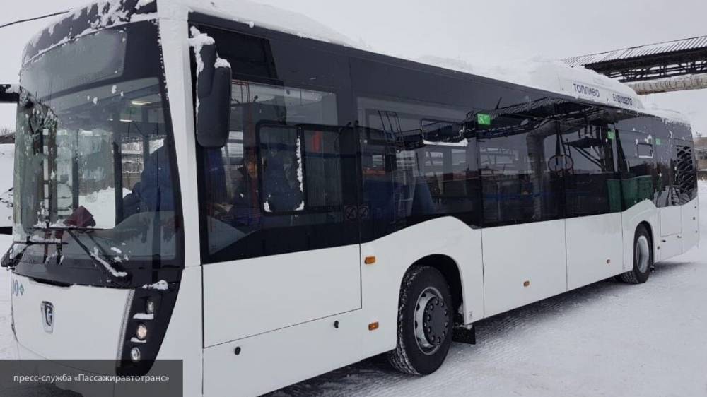 Кузбасс приостановил автобусное сообщение с "коронавирусными" регионами