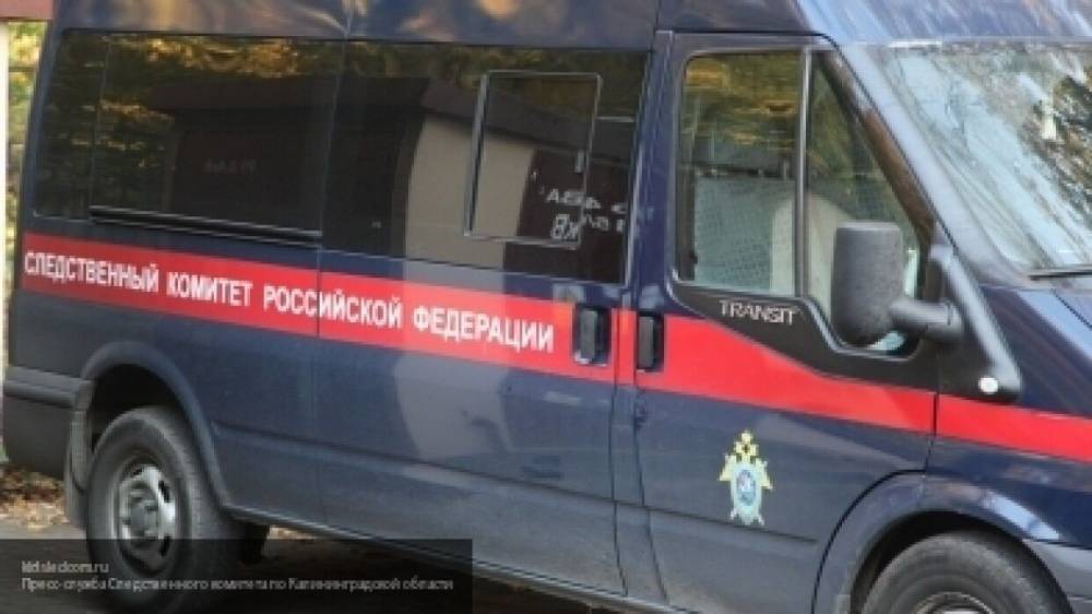 Пьяная жительница Тверской области пыталась насмерть сбить своего обидчика