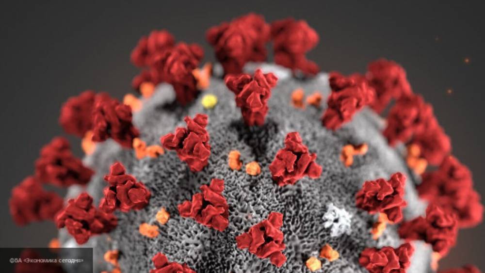 Американские ученые раскрыли механизм проникновения коронавируса