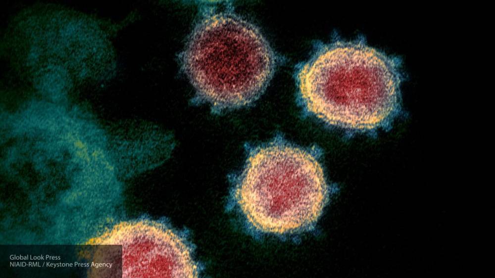 3D-модель коронавируса помогла ученым понять механизм проникновения инфекции в организм