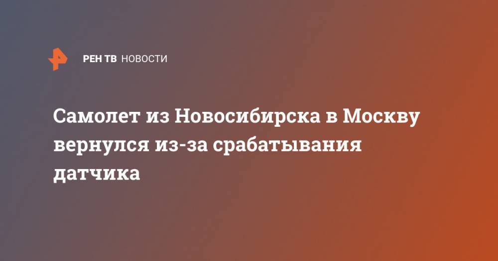 Самолет из Новосибирска в Москву вернулся из-за срабатывания датчика