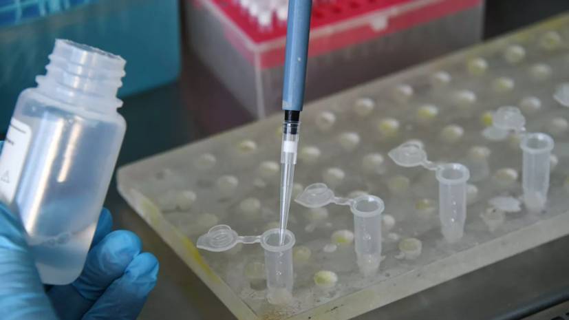 В Польше зафиксировали первый случай заражения коронавирусом