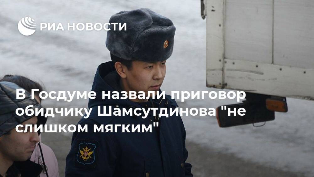 В Госдуме назвали приговор обидчику Шамсутдинова "не слишком мягким"