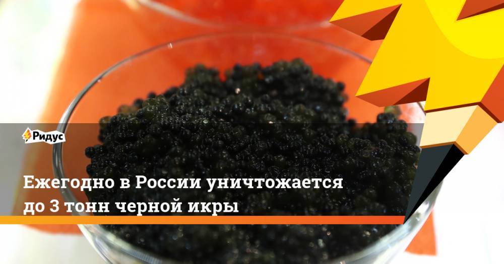 Ежегодно в России уничтожается до 3 тонн черной икры