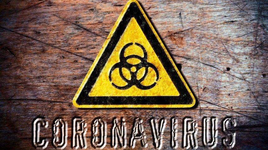 Путин на заседании правительства рассказал про «вбросы» по коронавирусу из-за границы