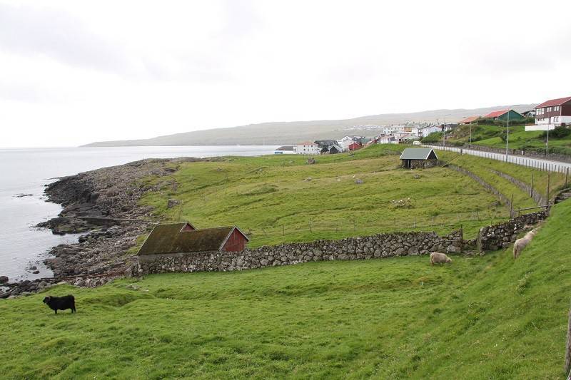 Коронавирус добрался до Фарерских островов