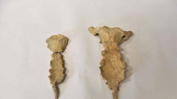В Херсонесе нашли останки древних людей с признаками болезни