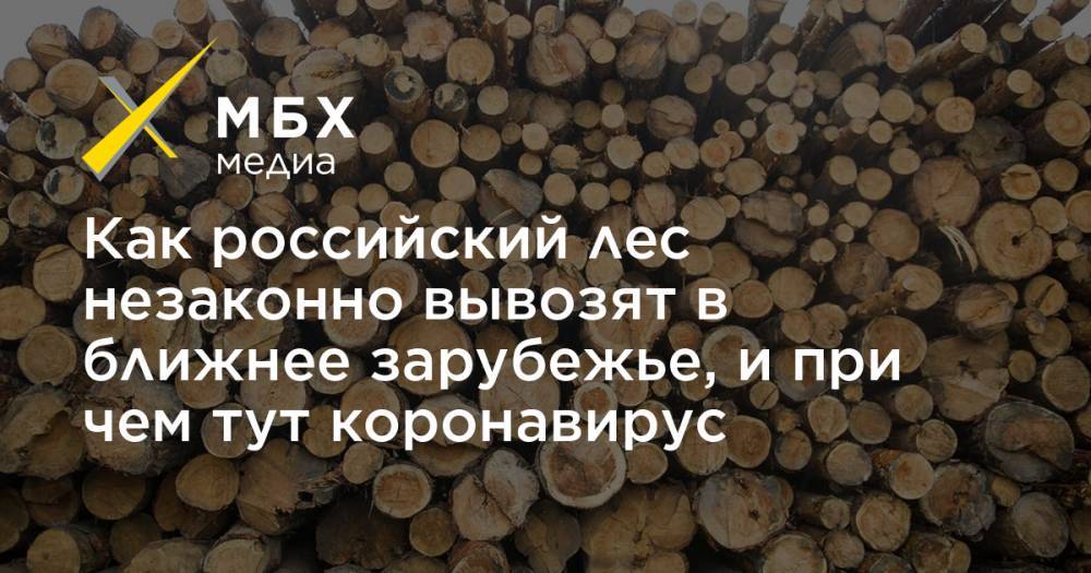 Как российский лес незаконно вывозят в ближнее зарубежье, и при чем тут коронавирус