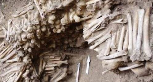 Под бельгийским собором обнаружили «стену из костей»