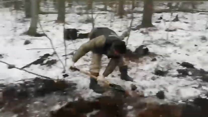 Опубликовано видео с места обнаружения тела, которое может принадлежать пропавшей Левченко