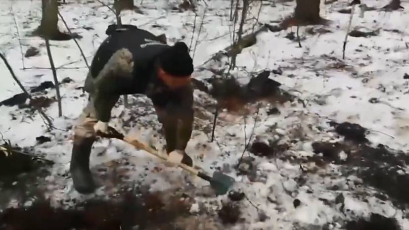 Под Рязанью обнаружены останки, предположительно, принадлежащие Екатерине Левченко