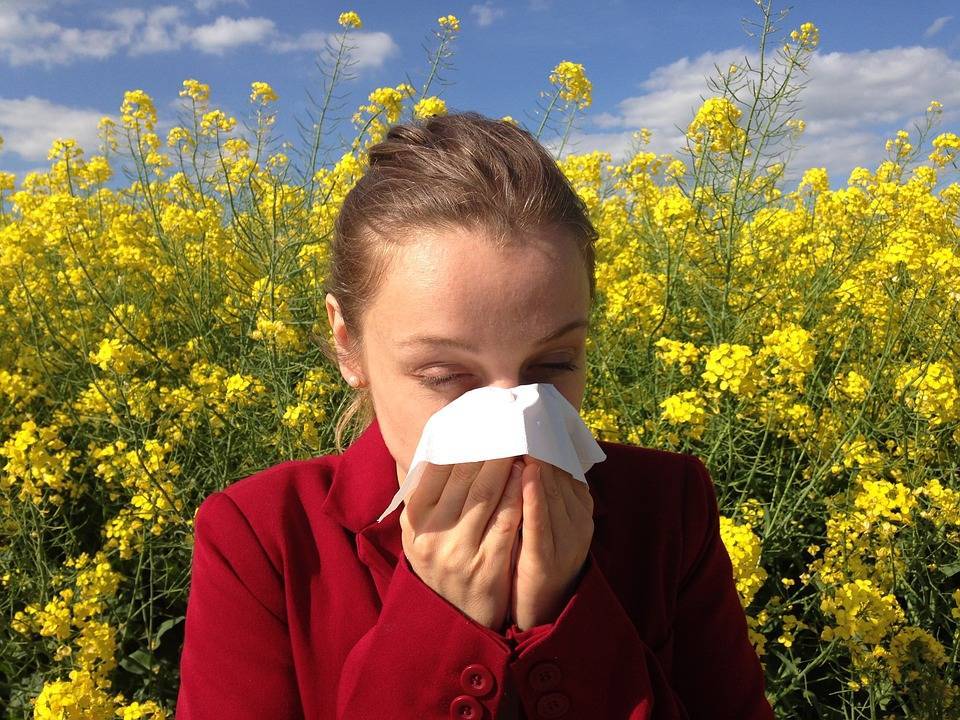 Растения-аллергены зацветут в Москве на месяц раньше