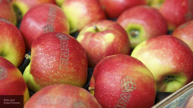 Врач-диетолог Лизун рассказала, как правильно есть яблоки и почему нужно счищать кожуру