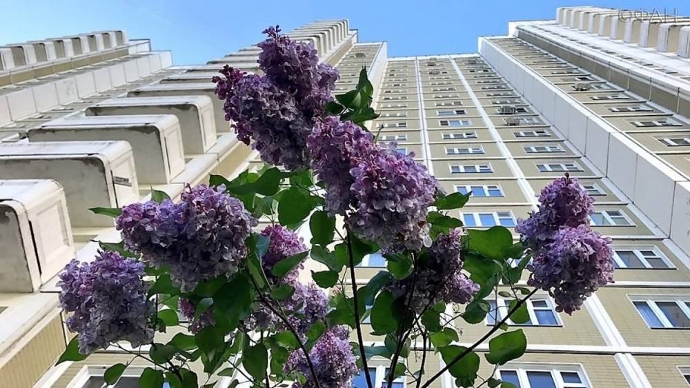 Жителей Москвы предупредили о раннем цветении аллергенных растений