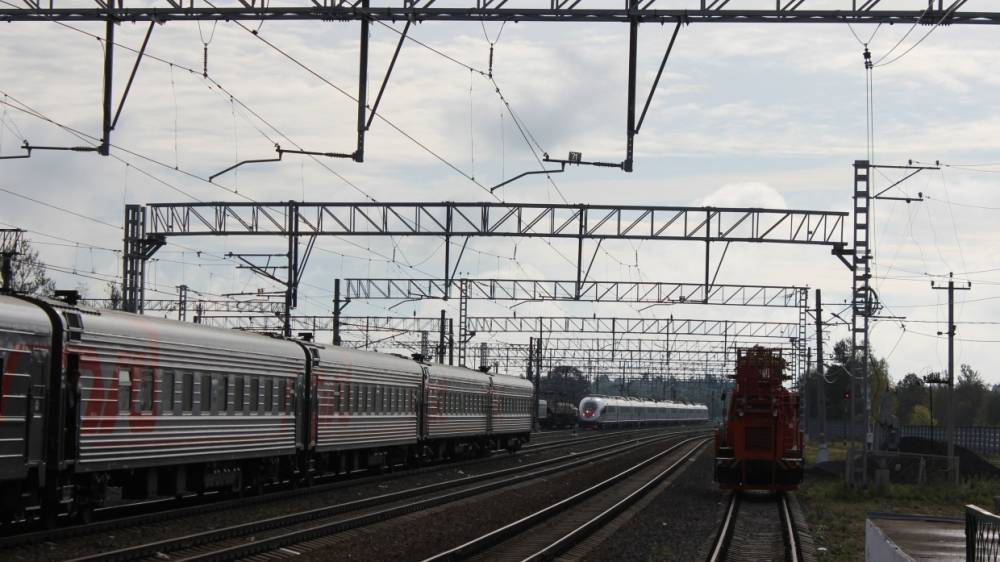 Пассажирский поезд сбил 64-летнюю пенсионерку в Кемеровской области