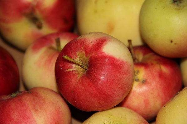 Врач-диетолог рассказала, как надо есть яблоки