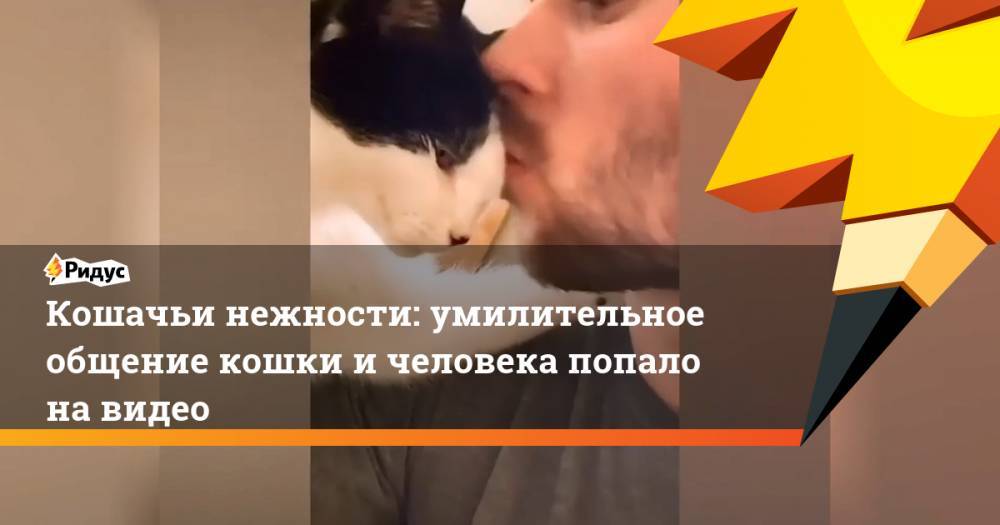 Кошачьи нежности: умилительное общение кошки и человека попало на видео