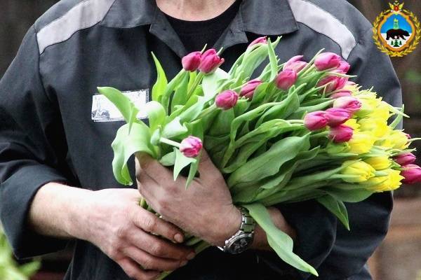 В Коми заключенные вырастили 3 тысячи тюльпанов на 8 марта