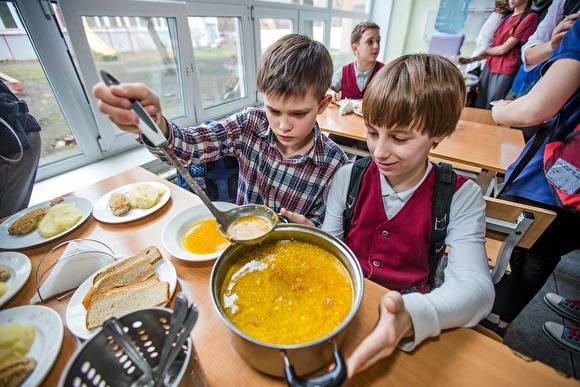 Четыре уральских региона исключены из программы субсидирования горячего питания в школах