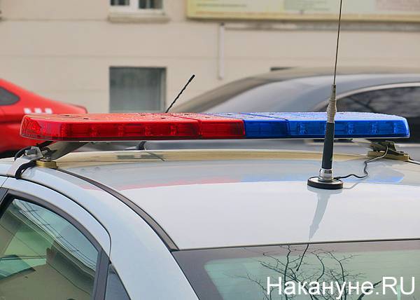 На Южном Урале автомобиль врезался в дерево - пострадали два человека