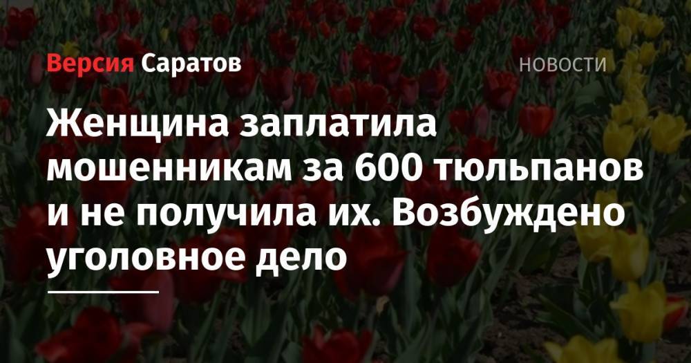 Женщина заплатила мошенникам за 600 тюльпанов и не получила их. Возбуждено уголовное дело