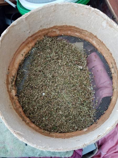 Житель Глазова хранил у себя дома 400 граммов марихуаны