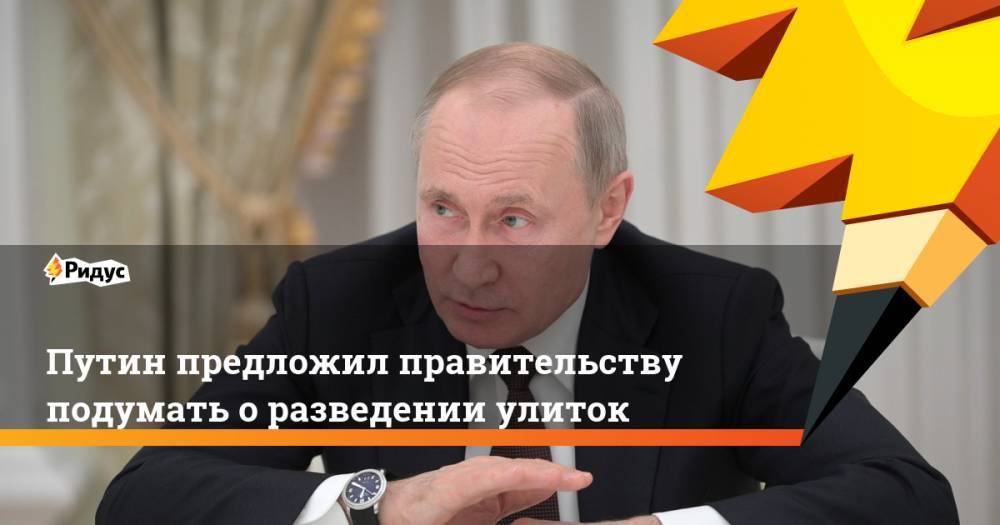 Путин предложил правительству подумать оразведении улиток
