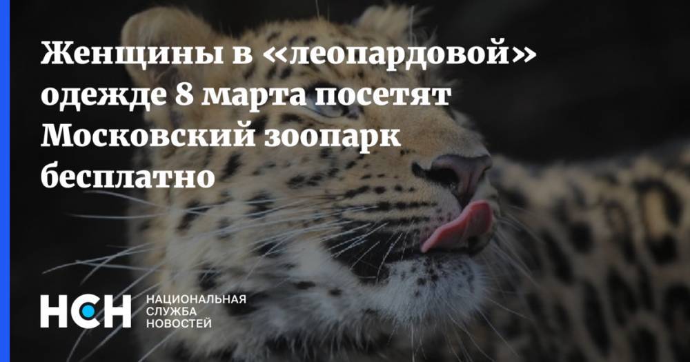 Женщины в «леопардовой» одежде 8 марта посетят Московский зоопарк бесплатно