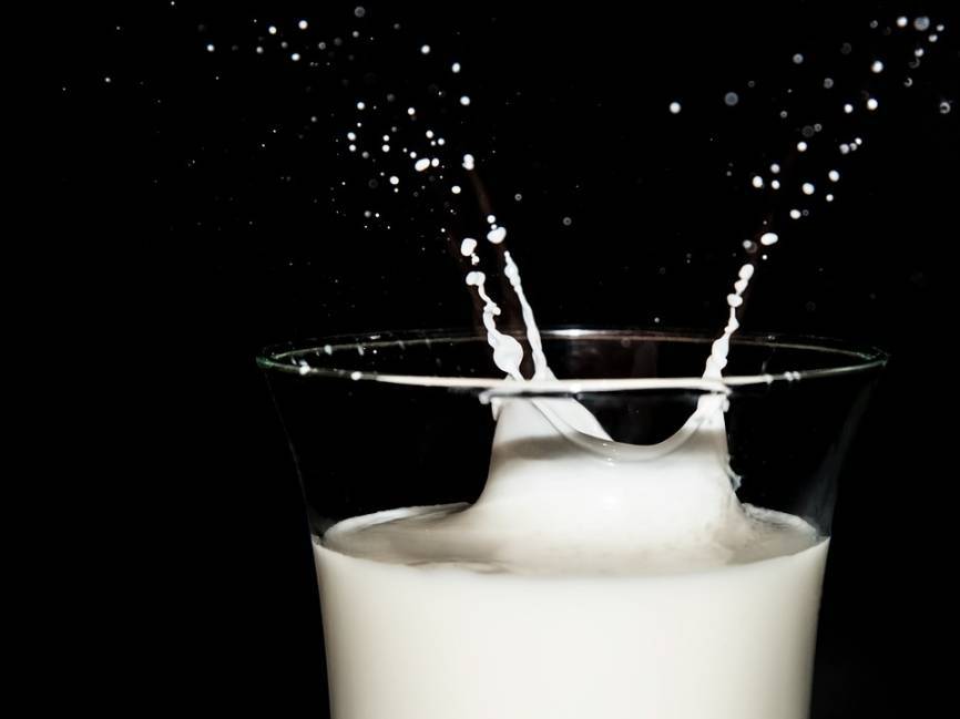 Петербуржцам рассказали о способах определения качественного молока