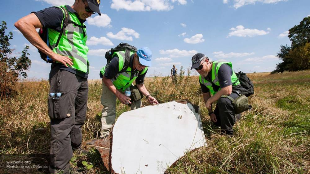 МИД РФ уличил Нидерланды в давлении на суд Гааги по делу MH17
