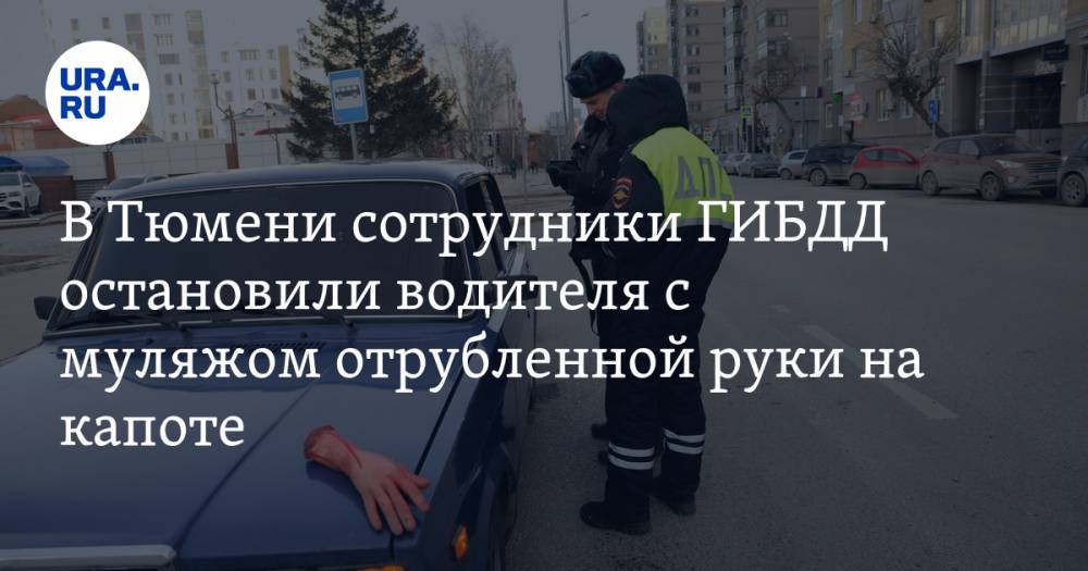 В Тюмени сотрудники ГИБДД остановили водителя с муляжом отрубленной руки на капоте. ФОТО