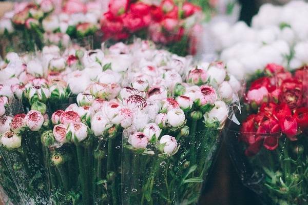 К 8 марта в Петербург и Ленобласть ввезли 16 млн цветов