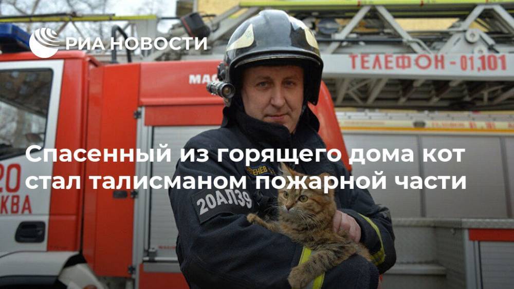 Спасенный из горящего дома кот стал талисманом пожарной части
