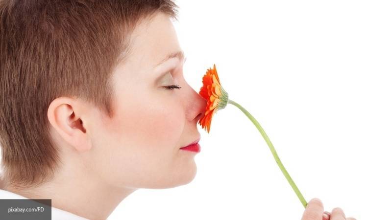 Ученые доказали, что некоторые ароматы улучшают работу памяти