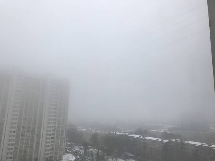 Густой туман окутал улицы Петербурга 7 марта